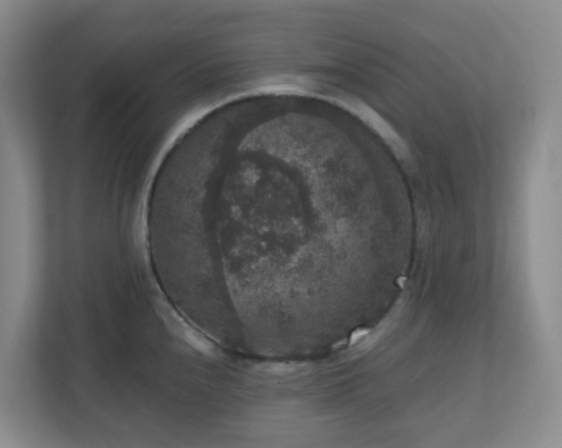 X0000111161240200907071122