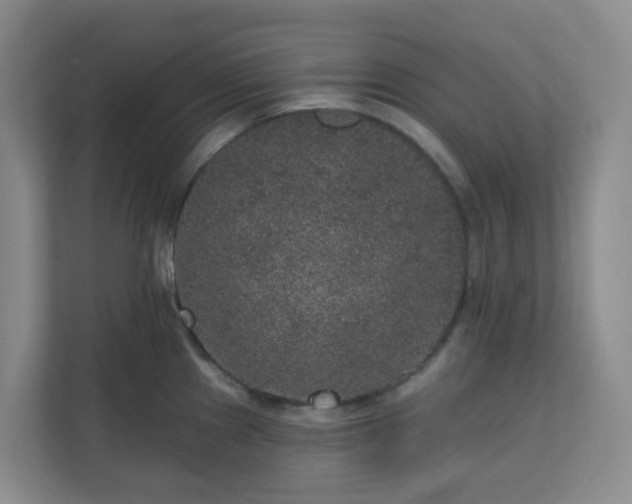 X0000111161241200907071122