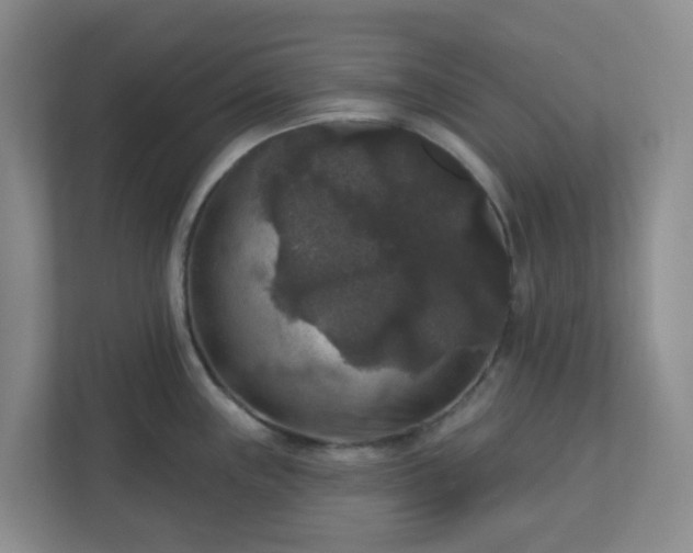 X0000111161243200907071122