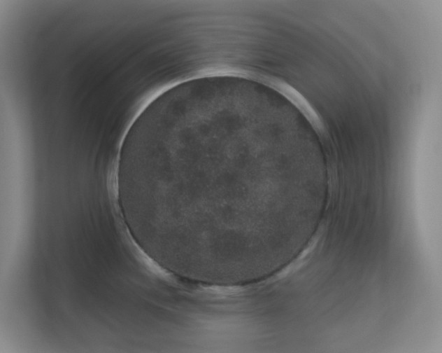 X0000111161244200907071122