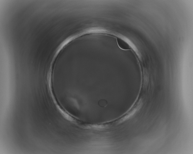 X0000111161245200907071122