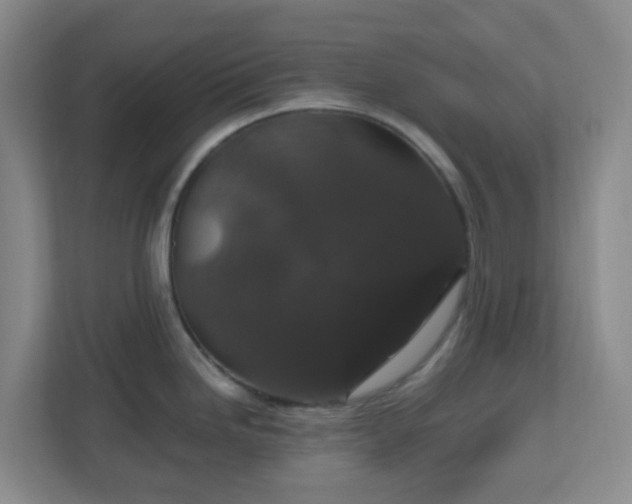 X0000111161246200907071122