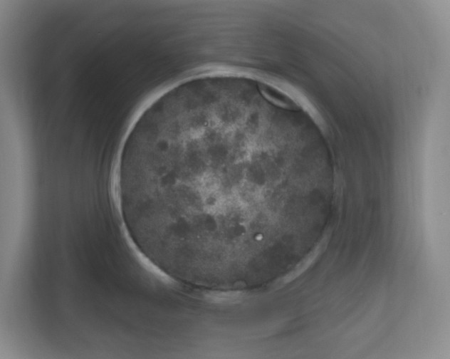 X0000111161247200907071122