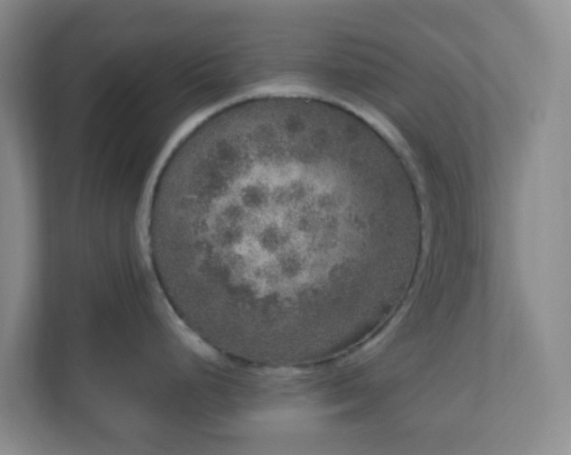 X0000111161248200907071122