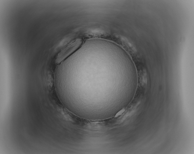 X0000111161253200907071122
