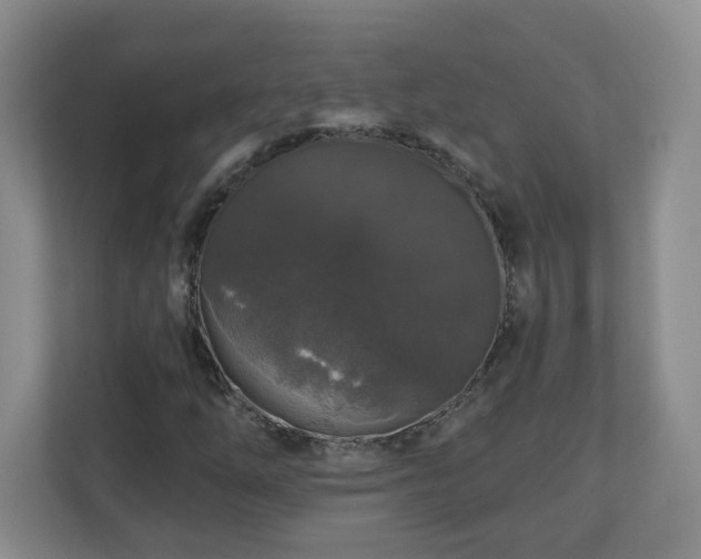 X0000111161254200907071122