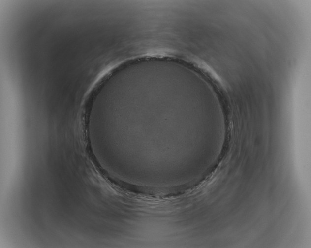 X0000111161256200907071122