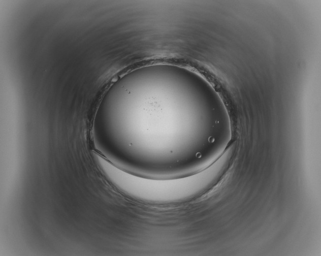 X0000111161257200907071122