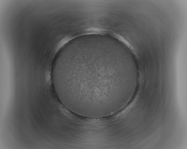 X0000111161259200907071122