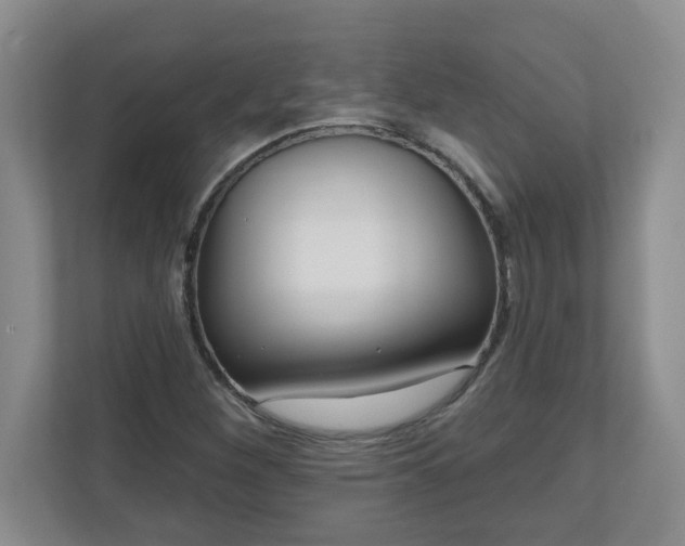 X0000111161260200907071122