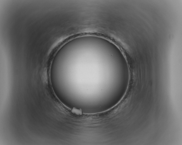X0000111161262200907071122
