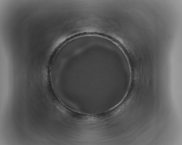 X0000111161263200907071122