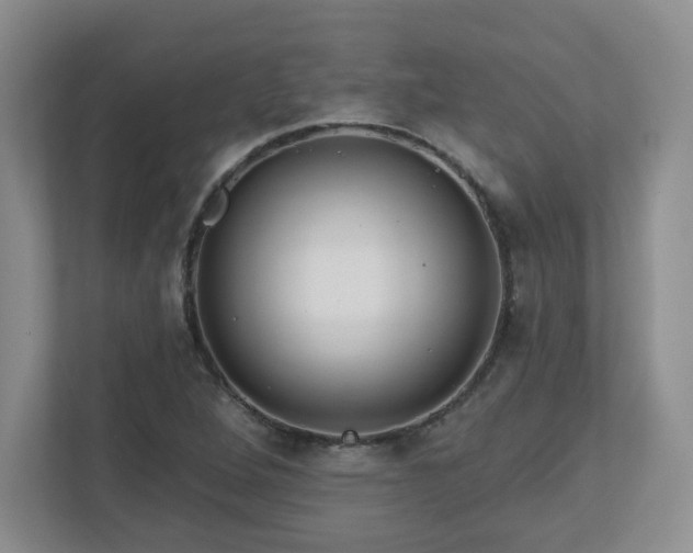 X0000111161264200907071122