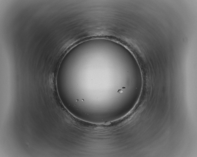 X0000111161265200907071122