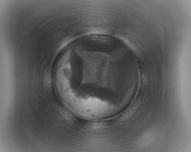 X0000111161266200907071122