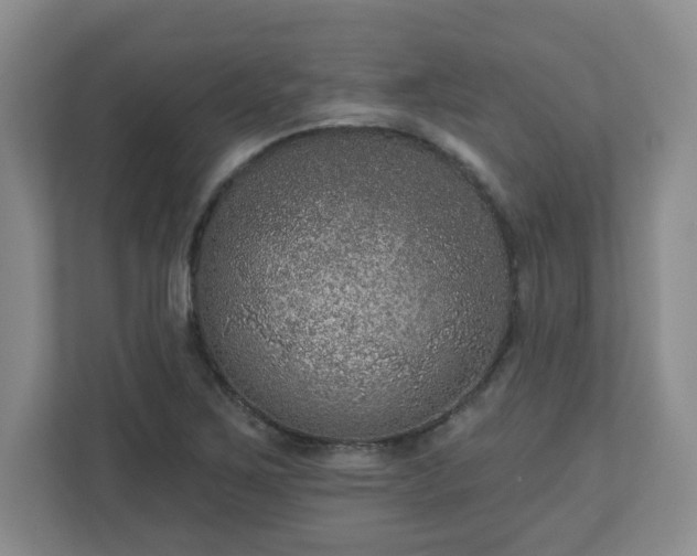 X0000111161267200907071122
