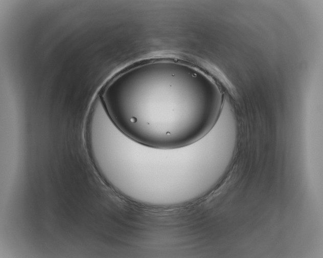 X0000111161268200907071122
