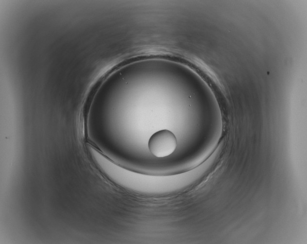 X0000111161269200907071122