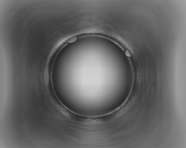 X0000111161270200907071122