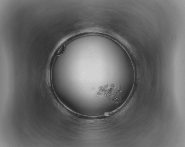 X0000111161272200907071122