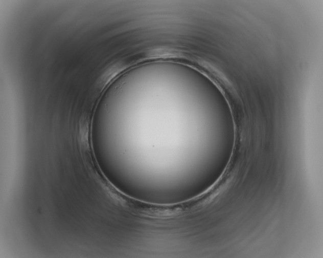 X0000111161273200907071122