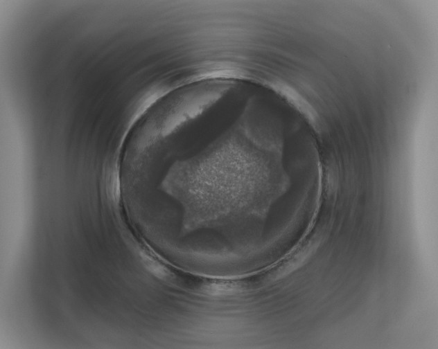 X0000111161274200907071122