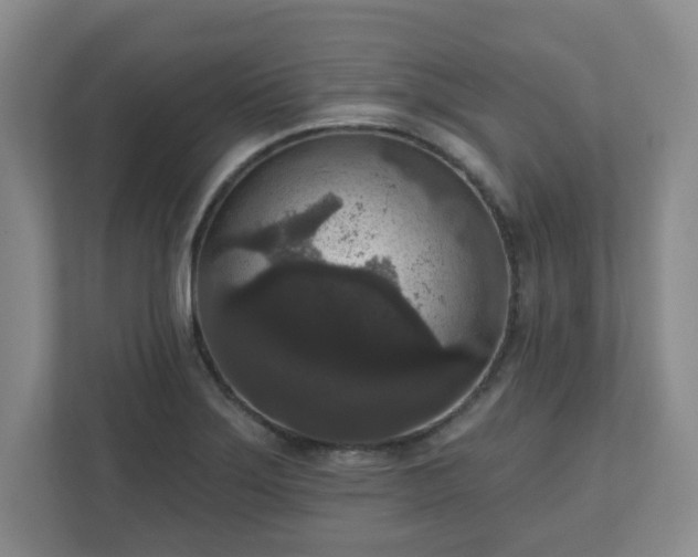 X0000111161275200907071122