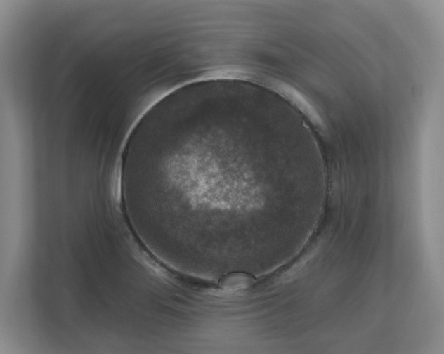 X0000111161276200907071122