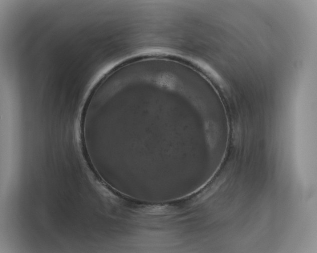 X0000111161279200907071121