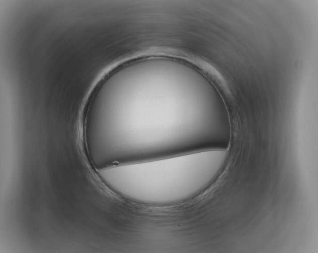 X0000111161280200907071121