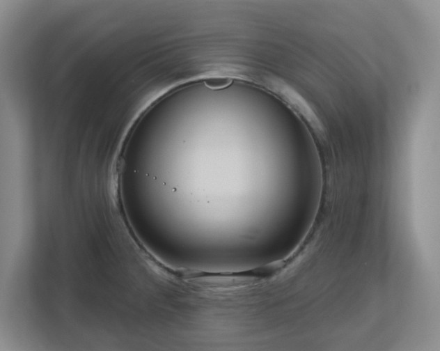 X0000111161284200907071121