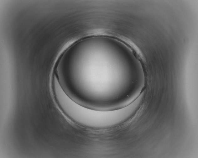 X0000111161285200907071121