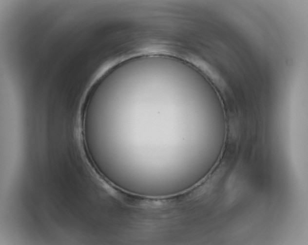 X0000111161286200907071121