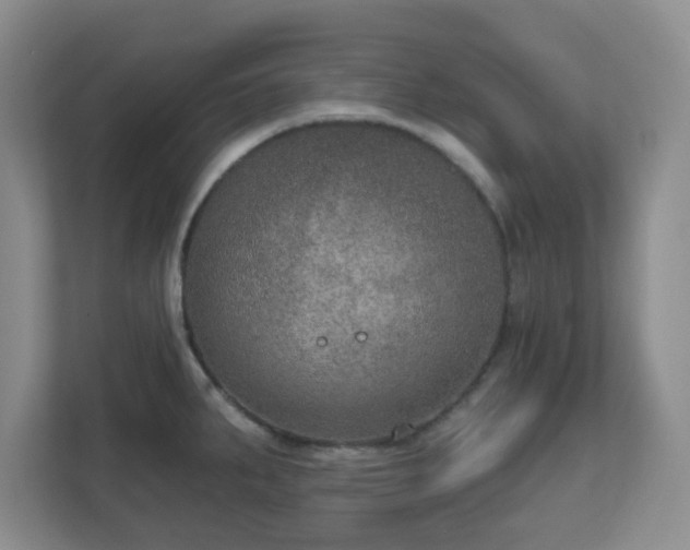 X0000111161287200907071121