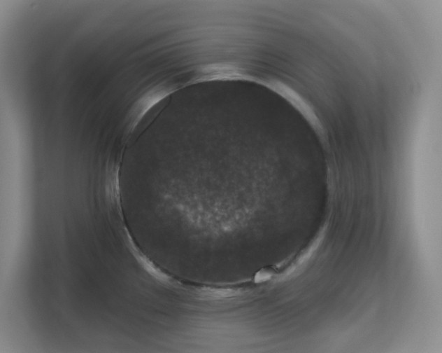 X0000111161289200907071121