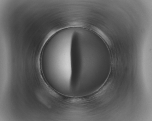 X0000111161291200907071121