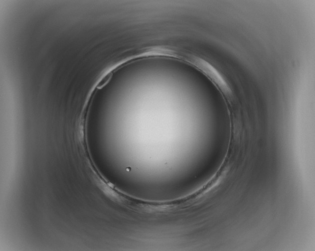 X0000111161292200907071121