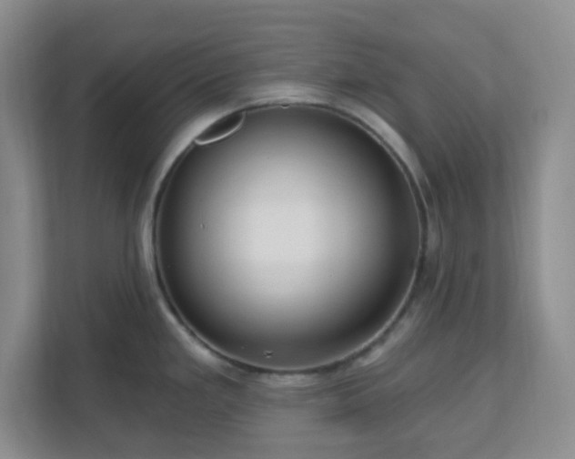 X0000111161293200907071121