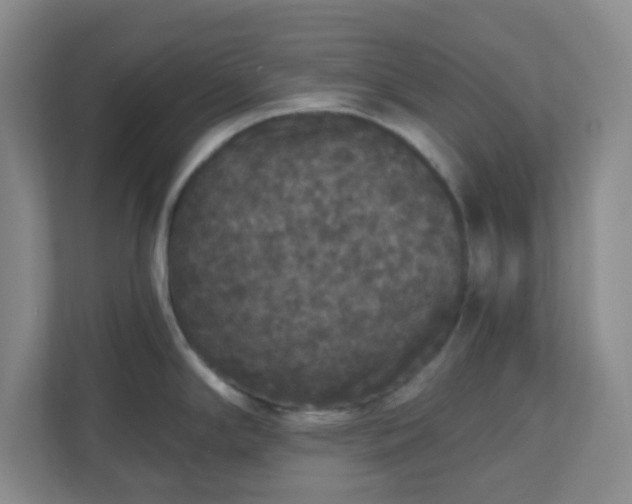 X0000111161294200907071121