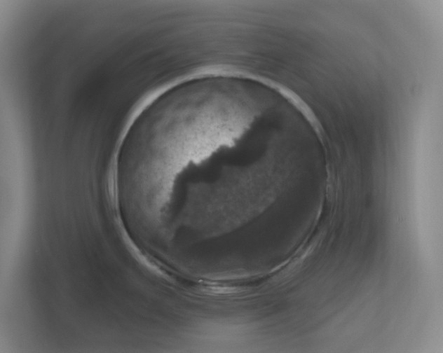 X0000111161295200907071121