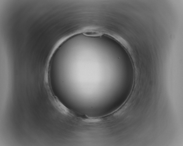 X0000111161296200907071121