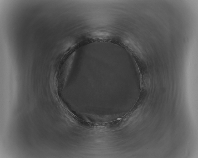 X0000111161297200907071121