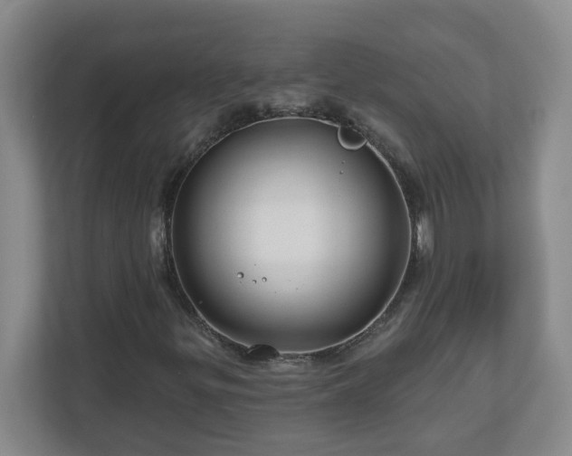 X0000111161299200907071121
