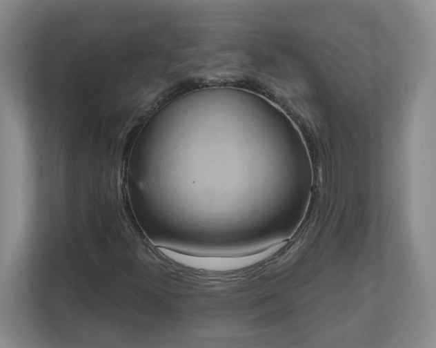 X0000111161300200907071121