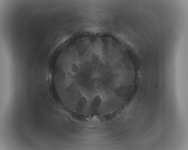 X0000111161302200907071121