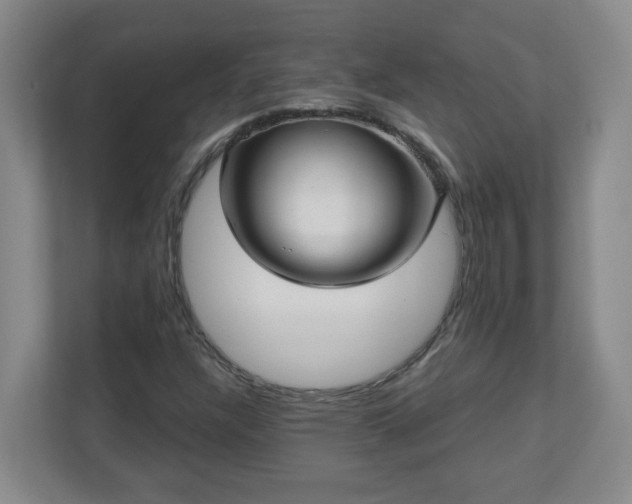 X0000111161304200907071121