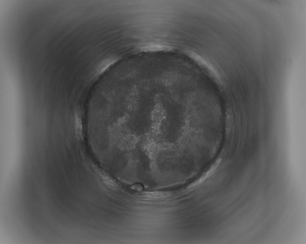 X0000111161305200907071121