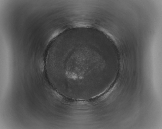 X0000111161306200907071121