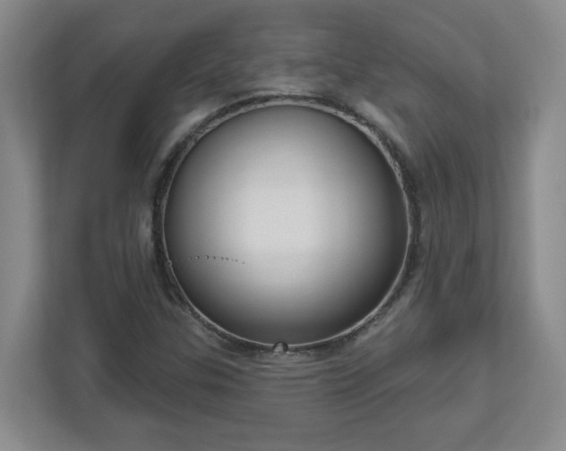 X0000111161307200907071121