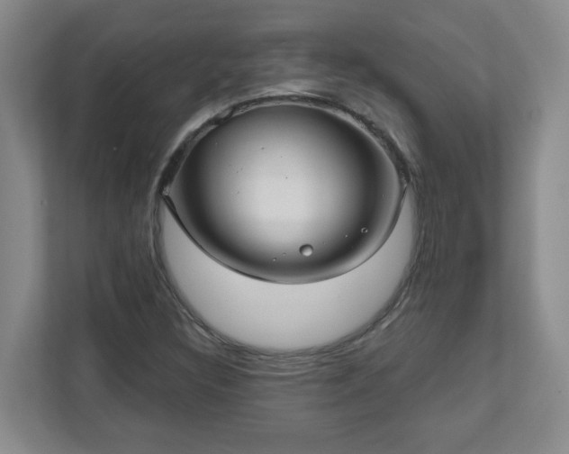 X0000111161308200907071121